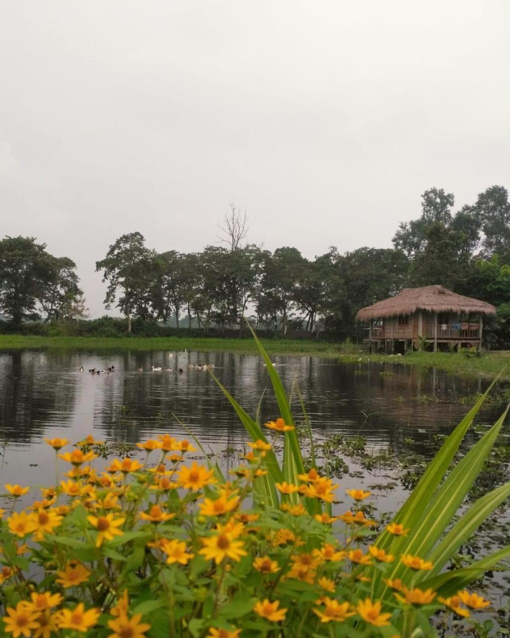 Yagdrasill Bamboo Cottage Bamungaon 외부 사진